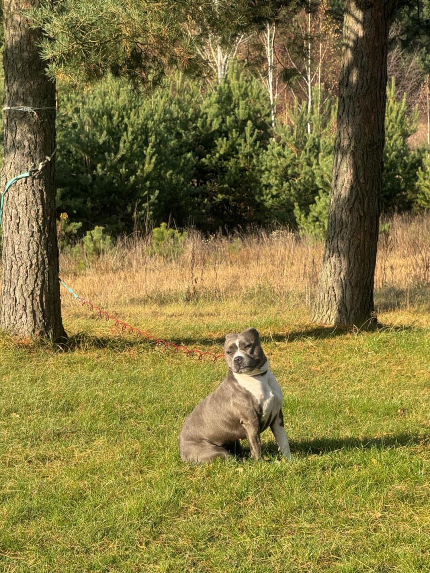 Wietrznie-wichrowe Wzgorze Wolka Ratowiecka